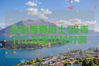 原始传奇道士4级毒什么效果比较好啊
