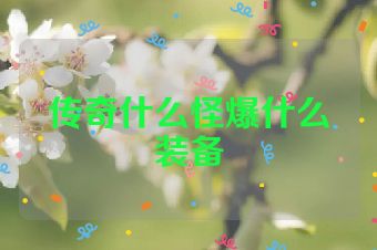 传奇什么怪爆什么装备