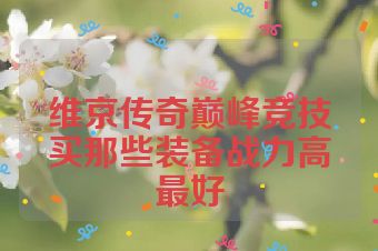 维京传奇巅峰竞技买那些装备战力高最好