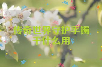 传奇世界守护手镯干什么用