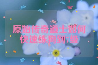 原始传奇道士如何快速练狗到7级