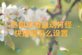 热血传奇自动打怪快捷键怎么设置