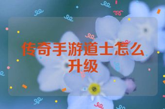 传奇手游道士怎么升级