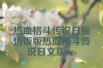 热血格斗传说日版悟饭版热血格斗传说日文版nes