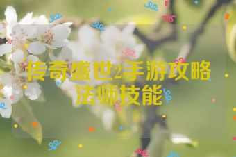 传奇盛世2手游攻略法师技能