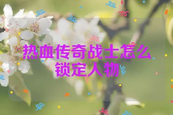 热血传奇战士怎么锁定人物