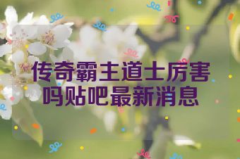 传奇霸主道士厉害吗贴吧最新消息