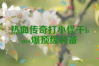 热血传奇打小怪干boss爆顶级装备