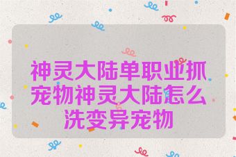 神灵大陆单职业抓宠物神灵大陆怎么洗变异宠物
