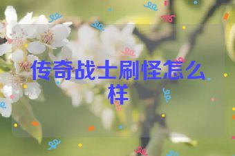 传奇战士刷怪怎么样