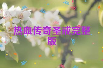 热血传奇圣戒完整版