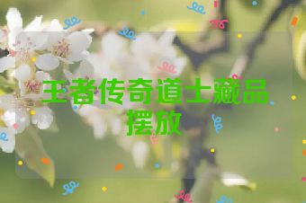 王者传奇道士藏品摆放