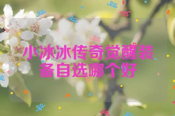 小冰冰传奇觉醒装备自选哪个好