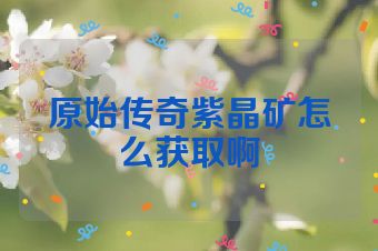 原始传奇紫晶矿怎么获取啊