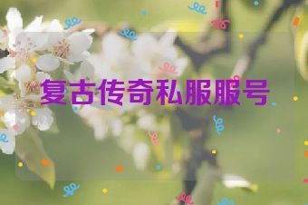 复古传奇私服服号