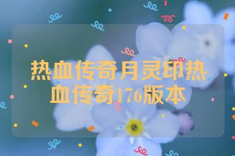 热血传奇月灵印热血传奇176版本