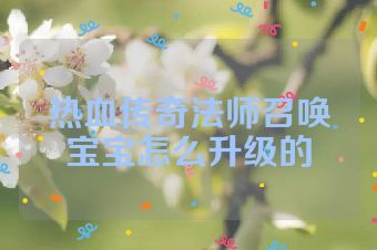 热血传奇法师召唤宝宝怎么升级的