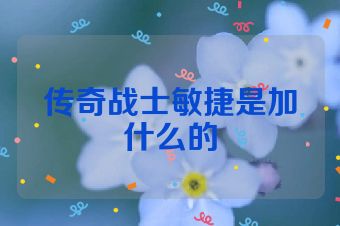 传奇战士敏捷是加什么的