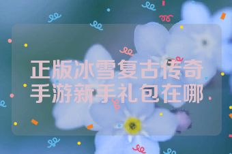 正版冰雪复古传奇手游新手礼包在哪