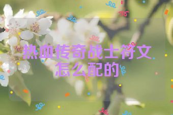 热血传奇战士符文怎么配的