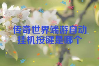 传奇世界端游自动挂机按键是哪个
