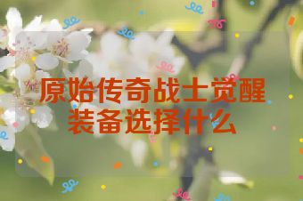 原始传奇战士觉醒装备选择什么
