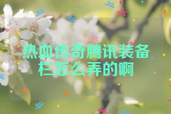 热血传奇腾讯装备栏怎么弄的啊