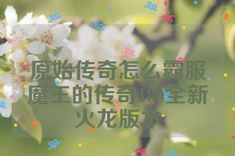 原始传奇怎么霸服魔王的传奇180全新火龙版本