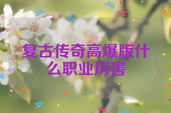 复古传奇高爆版什么职业厉害