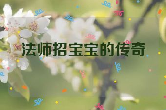法师招宝宝的传奇
