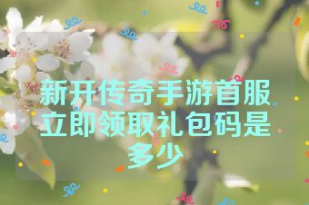 新开传奇手游首服立即领取礼包码是多少