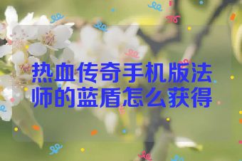 热血传奇手机版法师的蓝盾怎么获得