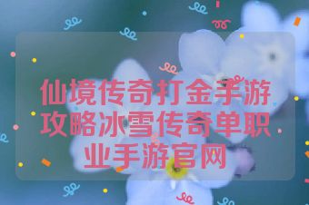 仙境传奇打金手游攻略冰雪传奇单职业手游官网