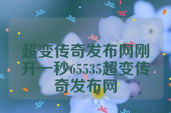 超变传奇发布网刚开一秒65535超变传奇发布网