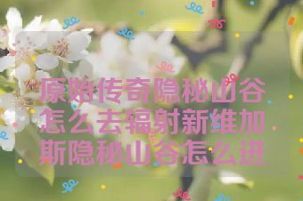 原始传奇隐秘山谷怎么去辐射新维加斯隐秘山谷怎么进