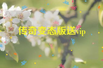 传奇变态版送vip