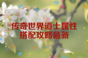 传奇世界道士属性搭配攻略最新