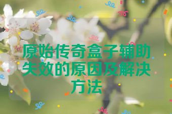 原始传奇盒子辅助失效的原因及解决方法