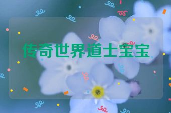 传奇世界道士宝宝