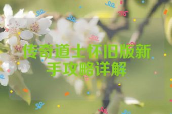 传奇道士怀旧版新手攻略详解