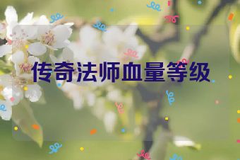 传奇法师血量等级