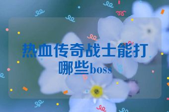 热血传奇战士能打哪些boss