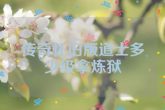 传奇怀旧版道士多少级拿炼狱