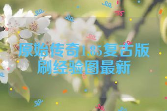 原始传奇1.85复古版刷经验图最新