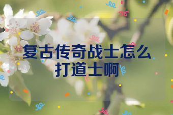 复古传奇战士怎么打道士啊