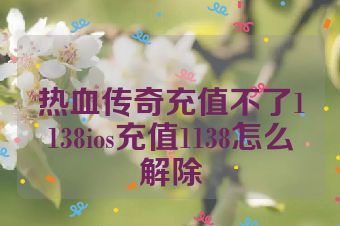 热血传奇充值不了1138ios充值1138怎么解除