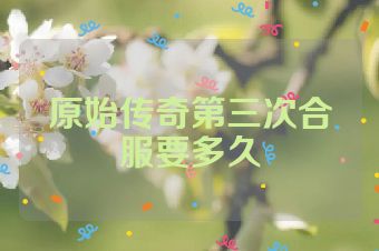 原始传奇第三次合服要多久