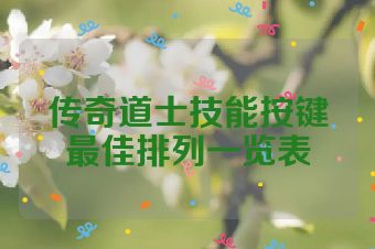 传奇道士技能按键最佳排列一览表