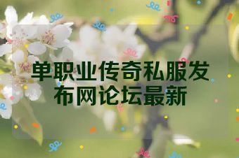 单职业传奇私服发布网论坛最新