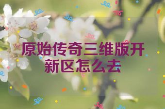 原始传奇三维版开新区怎么去